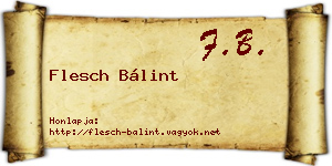Flesch Bálint névjegykártya